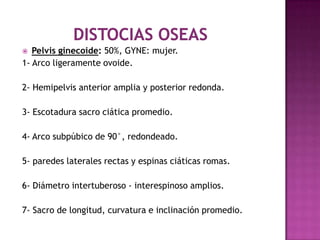  Pelvis ginecoide: 50%, GYNE: mujer.
1- Arco ligeramente ovoide.
2- Hemipelvis anterior amplia y posterior redonda.
3- Escotadura sacro ciática promedio.
4- Arco subpúbico de 90°, redondeado.
5- paredes laterales rectas y espinas ciáticas romas.
6- Diámetro intertuberoso - interespinoso amplios.
7- Sacro de longitud, curvatura e inclinación promedio.
 