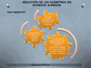 REDUCCIÓN DE LOS DIÁMETROS DEL
               ESTRECHO SUPERIOR.

TRATAMIENTO:
                                    Si no es
                                     posible
                                 anticipar parto
                                  favorable >>
                                    Cesarea



               administración
               de Oxitocina en
                  cualquier
                 reducción                  A no ser que la
                   pélvica                cabeza fetal haya
                                            sobrepasado el
                                               punto de
                                          obstrucción puede
                                         ser fatal para el feto
                                          y puede romper el
                                          útero de la madre.




                   Distocias Pélvicas
 