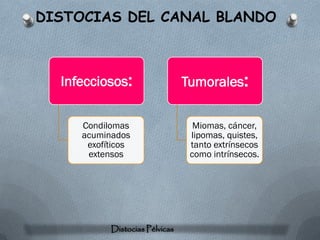 DISTOCIAS DEL CANAL BLANDO



  Infecciosos:                  Tumorales:

     Condilomas                   Miomas, cáncer,
     acuminados                  lipomas, quistes,
      exofíticos                 tanto extrínsecos
      extensos                   como intrínsecos.




           Distocias Pélvicas
 