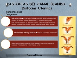 DISTOCIAS DEL CANAL BLANDO.
       Distocias Uterinas
Malformaciones
Congénitas:
    Utero Unicorne  Solo el 40% de los embarazos tienen sobrevida fetal.
    La tasa de abortos, partos pretérminos y p.podálica es muy alta.
    Si el embarazo ocurre en el cuerno uterino rudimentario suele haber
    ruptura uterina precoz debido al poco desarrollo de la pared uterina.




        Utero Bicorne, Didelfo y Tabicado  El parto suelen ser pretérminos




    Hay aumento de las presentaciones viciosas y el cuerno no grávido
    suele ser obstáculo en el desarrollo del parto.




                           Distocias Pélvicas
 