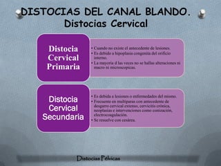 DISTOCIAS DEL CANAL BLANDO.
       Distocias Cervical

    Distocia     • Cuando no existe el antecedente de lesiones.
                 • Es debido a hipoplasia congenita del orificio
    Cervical       interno.
                 • La mayoria d las veces no se hallas alteraciones ni
    Primaria       macro ni microscopicas.




                 • Es debida a lesiones o enfermedades del mismo.
    Distocia     • Frecuente en multiparas con antecedente de
    Cervical       desgarro cervical extenso, cervicitis crónica,
                   neoplasias e intervenciones como conización,
   Secundaria      electrocoagulación.
                 • Se resuelve con cesárea.




           Distocias Pélvicas
 