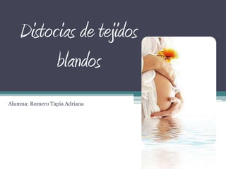 Distocias de tejidos
blandos
Alumna: Romero Tapia Adriana

 