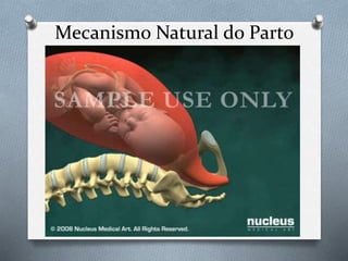 Mecanismo Natural do Parto 
 