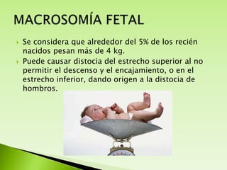 



Se considera que alrededor del 5% de los recién
nacidos pesan más de 4 kg.
Puede causar distocia del estrecho superior al no
permitir el descenso y el encajamiento, o en el
estrecho inferior, dando origen a la distocia de
hombros.

 