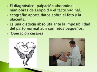 







El diagnóstico: palpación abdominal:
maniobras de Leopold y el tacto vaginal.
ecografía: aporta datos sobre el feto y la
placenta.
Es una distocia absoluta ante la imposibilidad
del parto normal aun con fetos pequeños.
Operación cesárea

 
