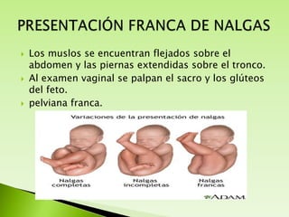 





Los muslos se encuentran flejados sobre el
abdomen y las piernas extendidas sobre el tronco.
Al examen vaginal se palpan el sacro y los glúteos
del feto.
pelviana franca.

 