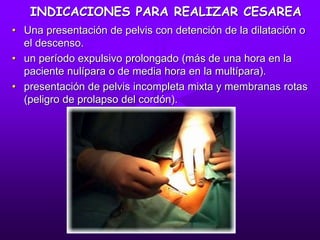 INDICACIONES PARA REALIZAR CESAREA
• Una presentación de pelvis con detención de la dilatación o
el descenso.
• un período expulsivo prolongado (más de una hora en la
paciente nulípara o de media hora en la multípara).
• presentación de pelvis incompleta mixta y membranas rotas
(peligro de prolapso del cordón).
 
