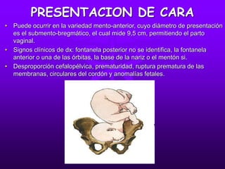 PRESENTACION DE CARA
• Puede ocurrir en la variedad mento-anterior, cuyo diámetro de presentación
es el submento-bregmático, el cual mide 9,5 cm, permitiendo el parto
vaginal.
• Signos clínicos de dx: fontanela posterior no se identifica, la fontanela
anterior o una de las órbitas, la base de la nariz o el mentón si.
• Desproporción cefalopélvica, prematuridad, ruptura prematura de las
membranas, circulares del cordón y anomalías fetales.
 