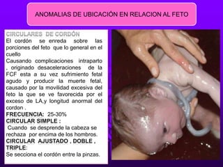 ANOMALIAS DE UBICACIÓN EN RELACION AL FETO
El cordón se enreda sobre las
porciones del feto que lo general en el
cuello
Causando complicaciones intraparto
, originado desaceleraciones de la
FCF esta a su vez sufrimiento fetal
agudo y producir la muerte fetal,
causado por la movilidad excesiva del
feto la que se ve favorecida por el
exceso de LA,y longitud anormal del
cordon .
25-30%
Cuando se desprende la cabeza se
rechaza por encima de los hombros.
:
Se secciona el cordón entre la pinzas.
 