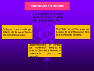 PROCIDENCIA DEL CORDON
 Es cuando el cordón
desciende por debajo
de la presentación .
Prolapso: cuando esta por
delante de la presentacion
con menbranas rotas .
Lateroincidencia: el cordon
con menbranas integras o
rotas se ubica en el lado de la
presentacion pero sin
revasarla.
Procúbito :el cordon esta por
delante de la presentacion pero
con menbranas integras.
 
