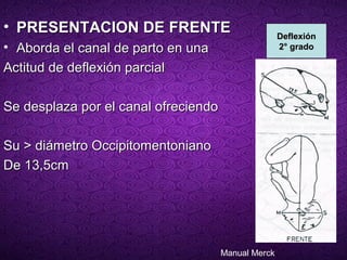 • PRESENTACION DE FRENTE                             Deflexión
• Aborda el canal de parto en una                    2° grado

Actitud de deflexión parcial

Se desplaza por el canal ofreciendo

Su > diámetro Occipitomentoniano
De 13,5cm




                                      Manual Merck
 