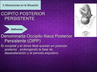 O CCIPITO POSTERIOR PERSISTENTE  Denominada Occípito Iliaca Posterior Persistente (OIPP)  El occipital y el dorso fetal quedan en posición posterior , prolongando la fase de desaceleración y el periodo expulsivo  Definicion I) Alteraciones en la Situación 