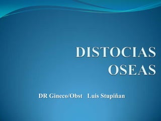 DR Gineco/Obst Luis Stupiñan
 
