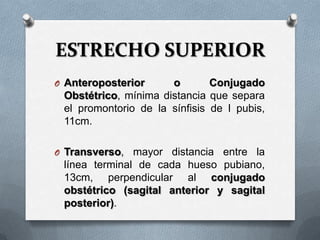 ESTRECHO SUPERIOR
O Anteroposterior o Conjugado
Obstétrico, mínima distancia que separa
el promontorio de la sínfisis de l pubis,
11cm.
O Transverso, mayor distancia entre la
línea terminal de cada hueso pubiano,
13cm, perpendicular al conjugado
obstétrico (sagital anterior y sagital
posterior).
 
