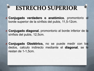 ESTRECHO SUPERIOR
O Conjugado verdadero o anatómico, promontorio al
borde superior de la sínfisis del pubis, 11,5-12cm.
O Conjugado diagonal, promontorio al borde inferior de la
sínfisis del pubis, 12,5cm.
O Conjugado Obstétrico, no se puede medir con los
dedos, calculo indirecto mediante el diagonal, se le
restan de 1-1,5cm.
 