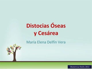 Distocias Óseas
y Cesárea
María Elena Delfín Vera

Page 1
Obstetricia Otoño 2013

 