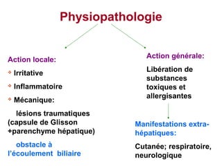 Physiopathologie


                               Action générale:
Action locale:
                               Libération de
   Irritative
                               substances
   Inflammatoire              toxiques et
                               allergisantes
   Mécanique:
  lésions traumatiques
(capsule de Glisson         Manifestations extra-
+parenchyme hépatique)      hépatiques:
   obstacle à               Cutanée; respiratoire,
l’écoulement biliaire       neurologique
 