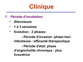 Clinique
1. Période d’incubation:
     Silencieuse
     1 à 3 semaines
     Evolution : 2 phases:
           - Période d’invasion :phase toxi-
      infectieuse : efficacité thérapeutique
           - Période d’état: phase
      d’angiocholite chronique : plus
      évocatrice
 