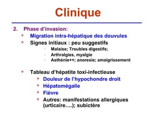 Clinique
2.    Phase d’invasion:
       Migration intra-hépatique des douvules
       Signes initiaux : peu suggestifs
              -   Malaise; Troubles digestifs;
              -   Arthralgies, myalgie
              -   Asthénie++; anorexie; amaigrissement

        Tableau d’hépatite toxi-infectieuse
            Douleur de l’hypochondre droit

            Hépatomégalie

            Fièvre

            Autres: manifestations allergiques

              (urticaire….); subictère
 