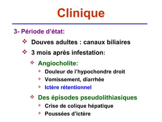 Clinique
3- Période d’état:
   Douves adultes : canaux biliaires
   3 mois après infestation:
        Angiocholite:
            Douleur de l’hypochondre droit
            Vomissement, diarrhée
            Ictère rétentionnel
        Des épisodes pseudolithiasiques
            Crise de colique hépatique
            Poussées d’ictère
 