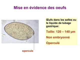 Mise en évidence des oeufs

                Œufs dans les selles ou
                le liquide de tubage
                gastrique:

                Taille: 120 – 140 µm
                Non embryonné
                Operculé

    opercule
 