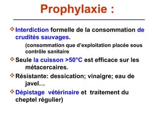 Prophylaxie :
 Interdiction formelle de la consommation de
  crudités sauvages.
     (consommation que d’exploitation placée sous
     contrôle sanitaire
 Seule la cuisson >50°C est efficace sur les
     métacercaires.
 Résistante: dessication; vinaigre; eau de
     javel…
 Dépistage vétérinaire et traitement du
  cheptel régulier)
 