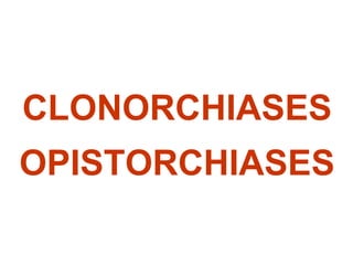 CLONORCHIASES
OPISTORCHIASES
 