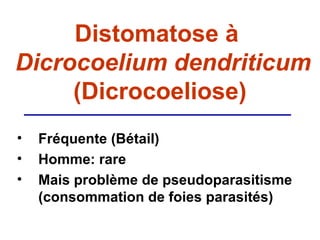Distomatose à
Dicrocoelium dendriticum
     (Dicrocoeliose)
•   Fréquente (Bétail)
•   Homme: rare
•   Mais problème de pseudoparasitisme
    (consommation de foies parasités)
 