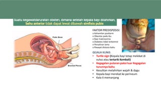 Distosia Bahu
GEJALA KLINIS
• Turtle sign (Kepala bayi tetap melekat di
vulva atau tertarik Kembali)
• Kegagalan putaran paksi luar Kegagalan
turunnya bahu
• Kesulitan melahirkan wajah & dagu
• Kepala bayi merekat ke perineum
• Kala II memanjang
FAKTOR PREDISPOSISI:
o Kehamilan postterm
o Obesitas pada ibu
o Bayi makrosomia
o Diabetes tidak terkontrol
o Persalinan lama
o Riwayat distosia bahu
 