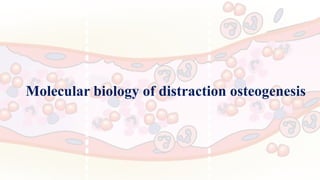 Molecular biology of distraction osteogenesis
 