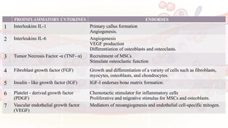 PROINFLAMMATORY CYTOKINES ENDORSES
1 Interleukins IL-1 Primary callus formation
Angiogenesis.
2 Interleukins IL-6 Angiogenesis
VEGF production
Differentiation of osteoblasts and osteoclasts.
3 Tumor Necrosis Factor -α (TNF- α) Recruitment of MSCs
Stimulate osteoclastic function
4 Fibroblast growth factor (FGF) Growth and differentiation of a variety of cells such as fibroblasts,
myocytes, osteoblasts, and chondrocytes.
5 Insulin - like growth factor (IGF) IGF-I endorses bone matrix formation.
6 Platelet - derived growth factor
(PDGF)
Chemotactic stimulator for inflammatory cells
Proliferative and migrative stimulus for MSCs and osteoblasts.
7 Vascular endothelial growth factor
(VEGF)
Mediators of neoangiogenesis and endothelial cell-specific mitogen.
 