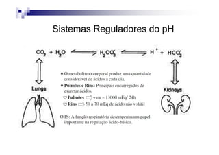 Sistemas Reguladores do pH
 