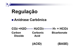 Regulação
 Anidrase Carbônica

CO2 +H2O    H2CO3     H+ + HCO3
Carbon     Carbonic   Bicarbonate
 Dioxide    Acid


           (ACID)         (BASE)
 