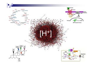 [H+]
 
