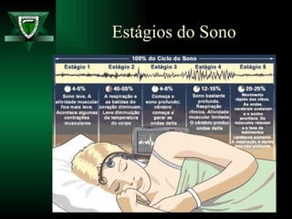 Estágios do Sono 