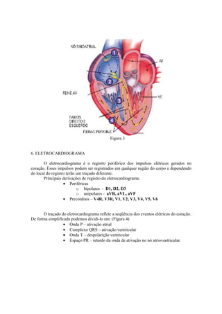 Figura 3


6. ELETROCARDIOGRAMA

       O eletrocardiograma é o registro periférico dos impulsos elétricos gerados no
coração. Esses impulsos podem ser registrados em qualquer região do corpo e dependendo
do local do registro terão um traçado diferente.
       Principais derivações de registro do eletrocardiograma.
                   • Periféricas
                           o bipolares - D1, D2, D3
                           o unipolares - aVR, aVL, aVF
                   • Precordiais – V4R, V3R, V1, V2, V3, V4, V5, V6


      O traçado do eletrocardiograma reflete a seqüência dos eventos elétricos do coração.
De forma simplificada podemos dividi-lo em: (Figura 4)
                  • Onda P – ativação atrial
                  • Complexo QRS – ativação ventricular
                  • Onda T – despolarição ventricular
                  • Espaço PR – retardo da onda de ativação no nó atrioventricular.
 