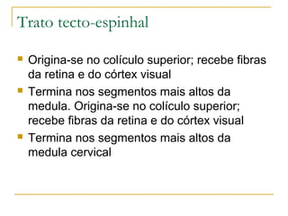 Trato tecto-espinhal 
 Origina-se no colículo superior; recebe fibras 
da retina e do córtex visual 
 Termina nos segmentos mais altos da 
medula. Origina-se no colículo superior; 
recebe fibras da retina e do córtex visual 
 Termina nos segmentos mais altos da 
medula cervical 
 