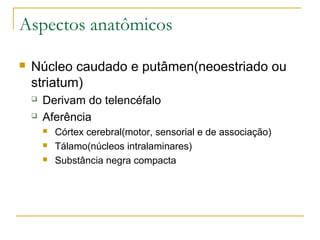 Aspectos anatômicos 
 Núcleo caudado e putâmen(neoestriado ou 
striatum) 
 Derivam do telencéfalo 
 Aferência 
 Córtex cerebral(motor, sensorial e de associação) 
 Tálamo(núcleos intralaminares) 
 Substância negra compacta 
 