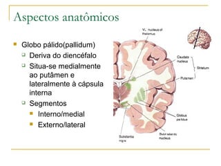Aspectos anatômicos 
 Globo pálido(pallidum) 
 Deriva do diencéfalo 
 Situa-se medialmente 
ao putâmen e 
lateralmente à cápsula 
interna 
 Segmentos 
 Interno/medial 
 Externo/lateral 
 