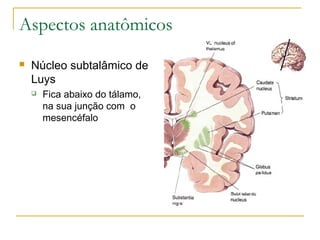 Aspectos anatômicos 
 Núcleo subtalâmico de 
Luys 
 Fica abaixo do tálamo, 
na sua junção com o 
mesencéfalo 
 