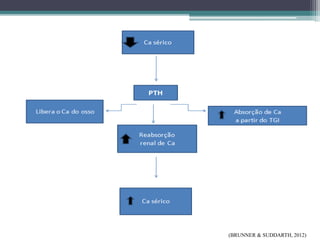 (BRUNNER & SUDDARTH, 2012)
 