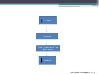 (BRUNNER & SUDDARTH, 2012)
 