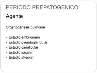 PERIODO PREPATOGENICO
Agente
Organogénesis pulmonar
• Estadio embrionario
• Estadio pseudoglandular
• Estadio canalicular
• Estadio sacular
• Estadio alveolar
 
