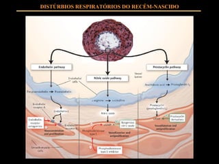 DISTÚRBIOS RESPIRATÓRIOS DO RECÉM-NASCIDO 