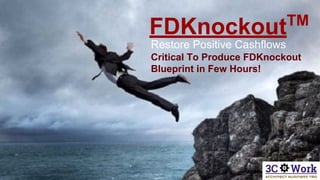 FDKnockoutTM
Restore Positive Cashflows
Critical To Produce FDKnockout
Blueprint in Few Hours!
 