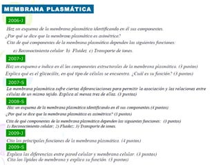 MEMBRANA PLASMÁTICA
2006-J




2007-J




2007-S



2008-S




2009-J


2009-S
 