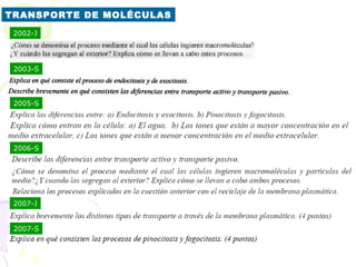 TRANSPORTE DE MOLÉCULAS
 2002-J




 2003-S



 2005-S




 2006-S




 2007-J


 2007-S
 