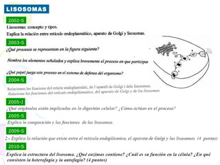 LISOSOMAS
2002-S




2003-S




2004-S




2005-J


2005-S


2009-S


2010-S
 