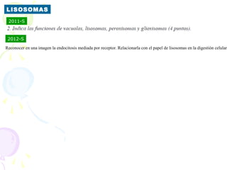 LISOSOMAS
 2011-S



 2012-S

Reconocer en una imagen la endocitosis mediada por receptor. Relacionarla con el papel de lisosomas en la digestión celular
 