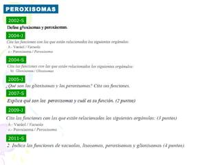 PEROXISOMAS
2002-S


2004-J




2004-S



2005-J


2007-S


2009-J




2011-S
 